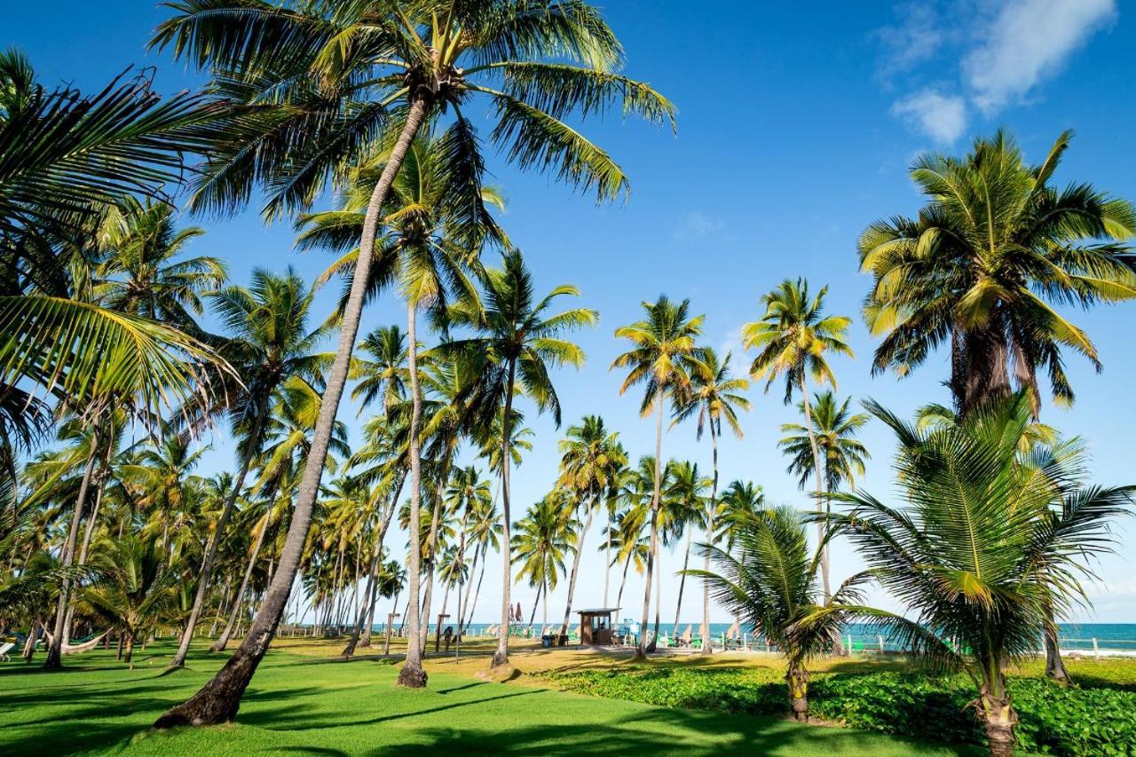 Paraiso Na Terra - Carneiros Beach Resort Tamandaré 外观 照片